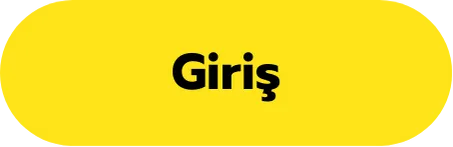 Giriş